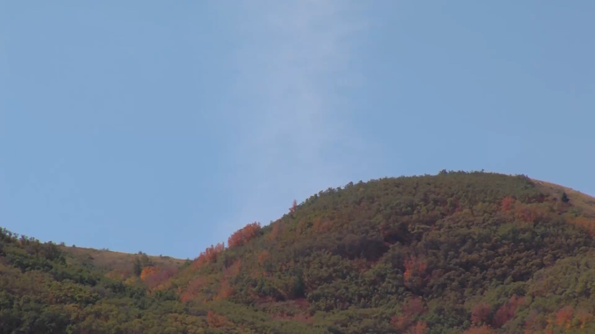 The entrance to Millcreek Canyon was closed to the public Saturday afternoon, and about 50 homes were under voluntary evacuations in the Mount Aire subdivision, as firefighters battled the Church Fork Fire. (Photo: Mike Radice/KSL-TV)