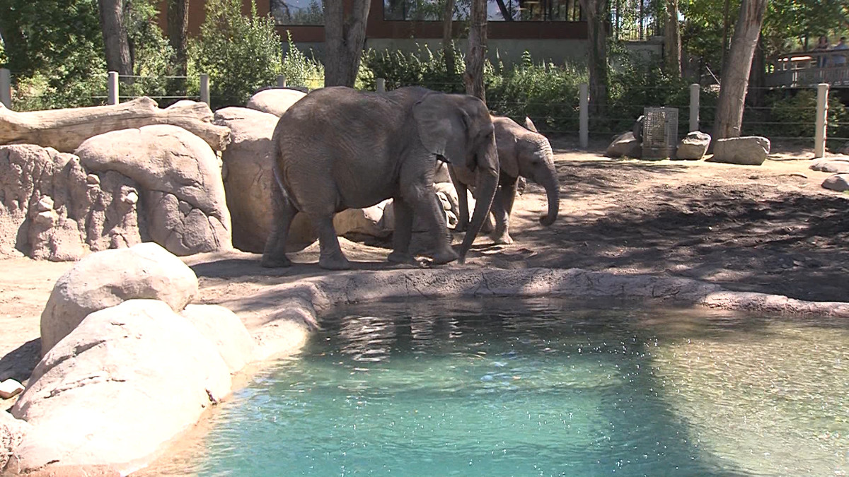 (Photo: Ray Boone/KSL-TV)