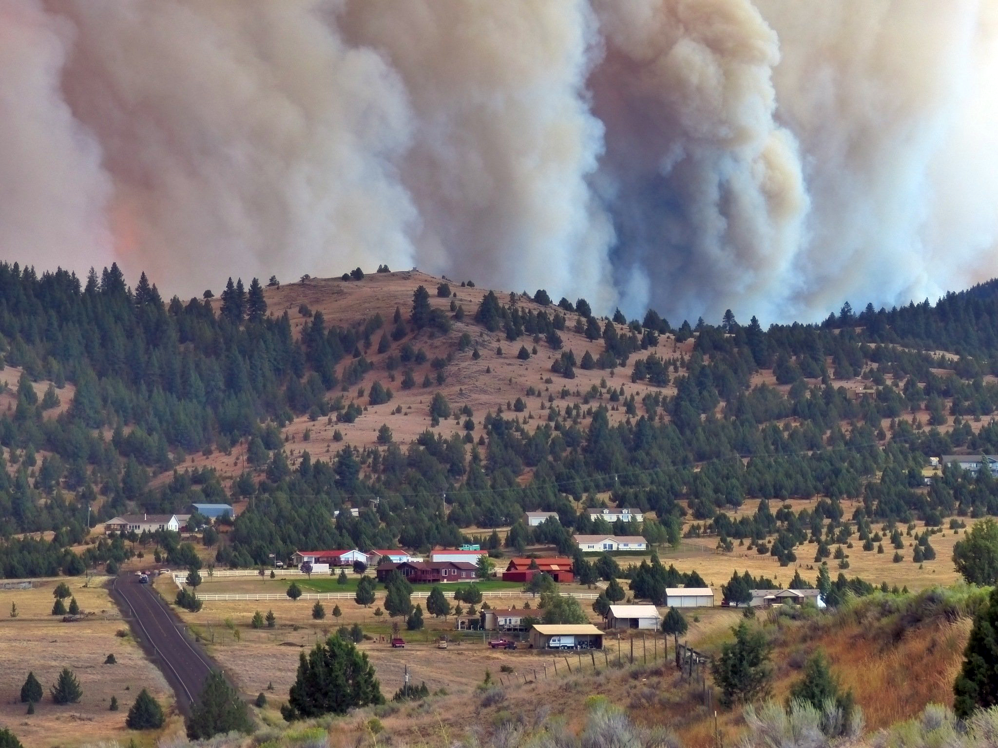 As wildfires rage in West, ranchers lose cattle, rangeland