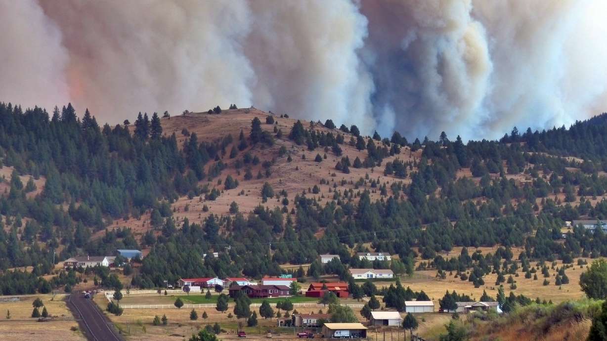 As wildfires rage in West, ranchers lose cattle, rangeland
