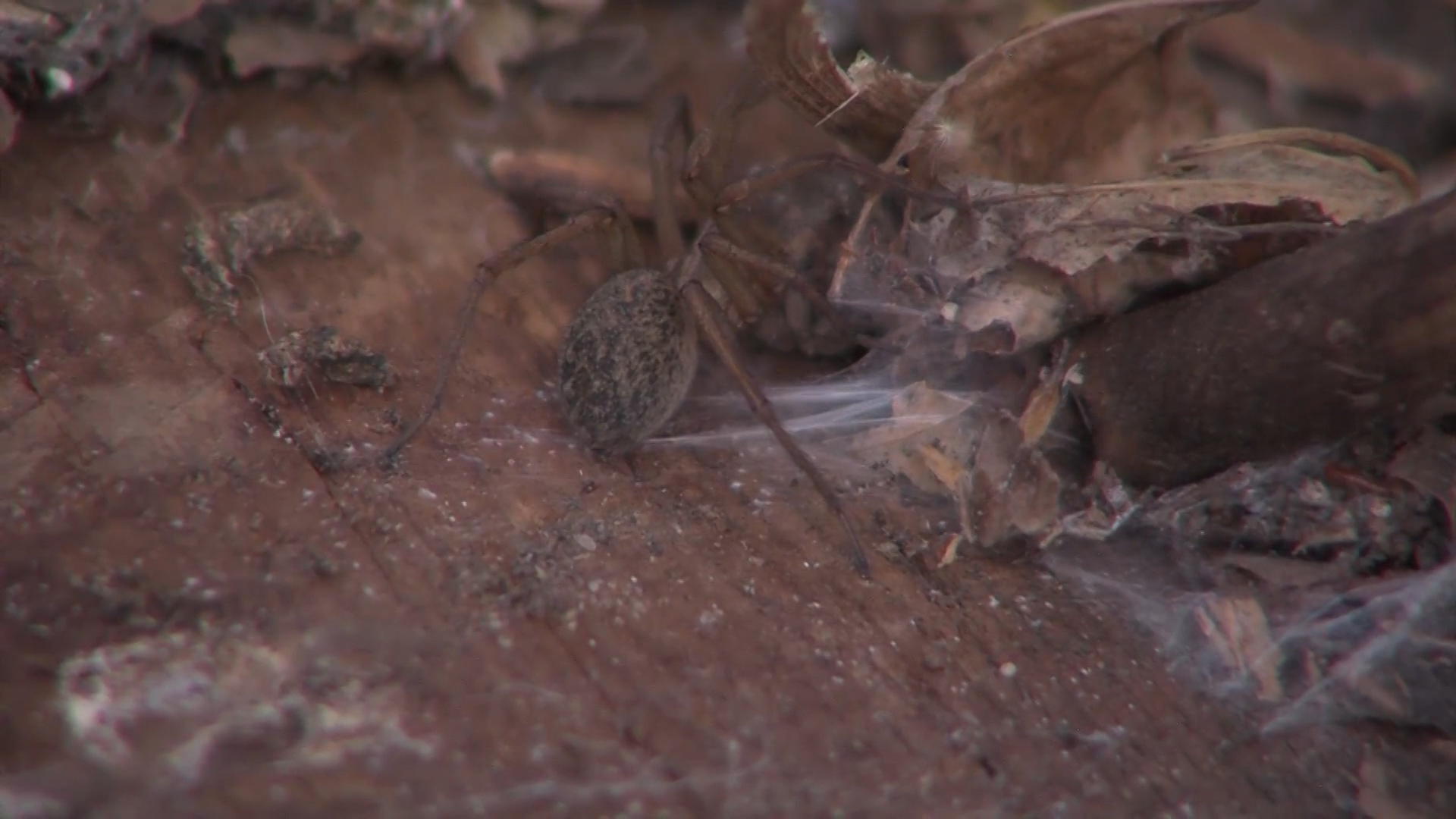 (Photo: Brandon Whitworth/KSL-TV)