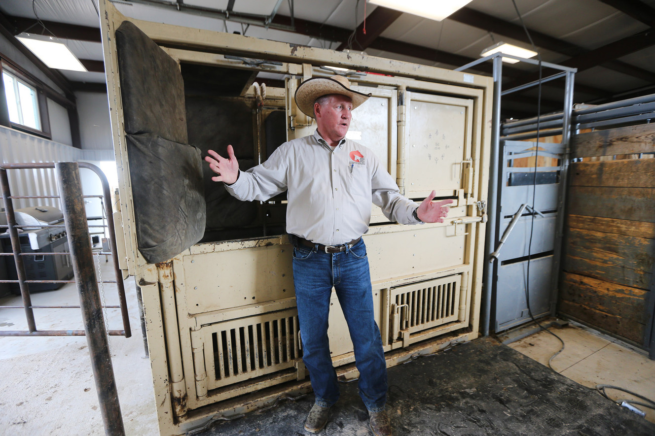 Gus Warr, BLM Wild Horse and Burro Program lead, explains Monday, Sept. 14, 2015, in Axtell, Sanpete County some of the Despain family facility, as officials show the 32-acre off-range corrals. (Photo: Scott G Winterton, Deseret News)