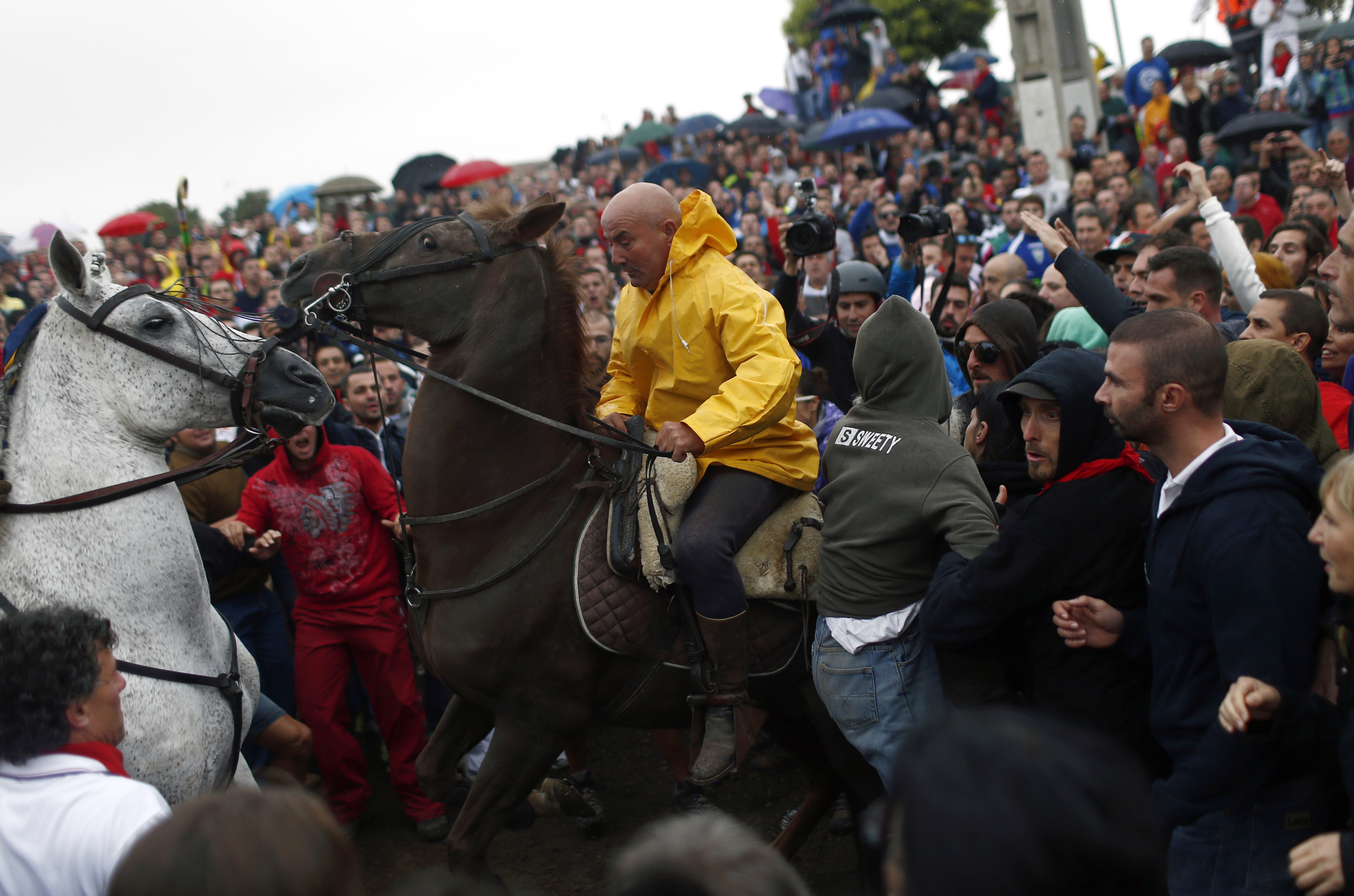 Men on horseback in Spain spear bull to death amid protests