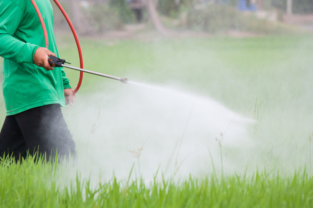 Report: Pesticide exposure linked to childhood cancer and lower IQ