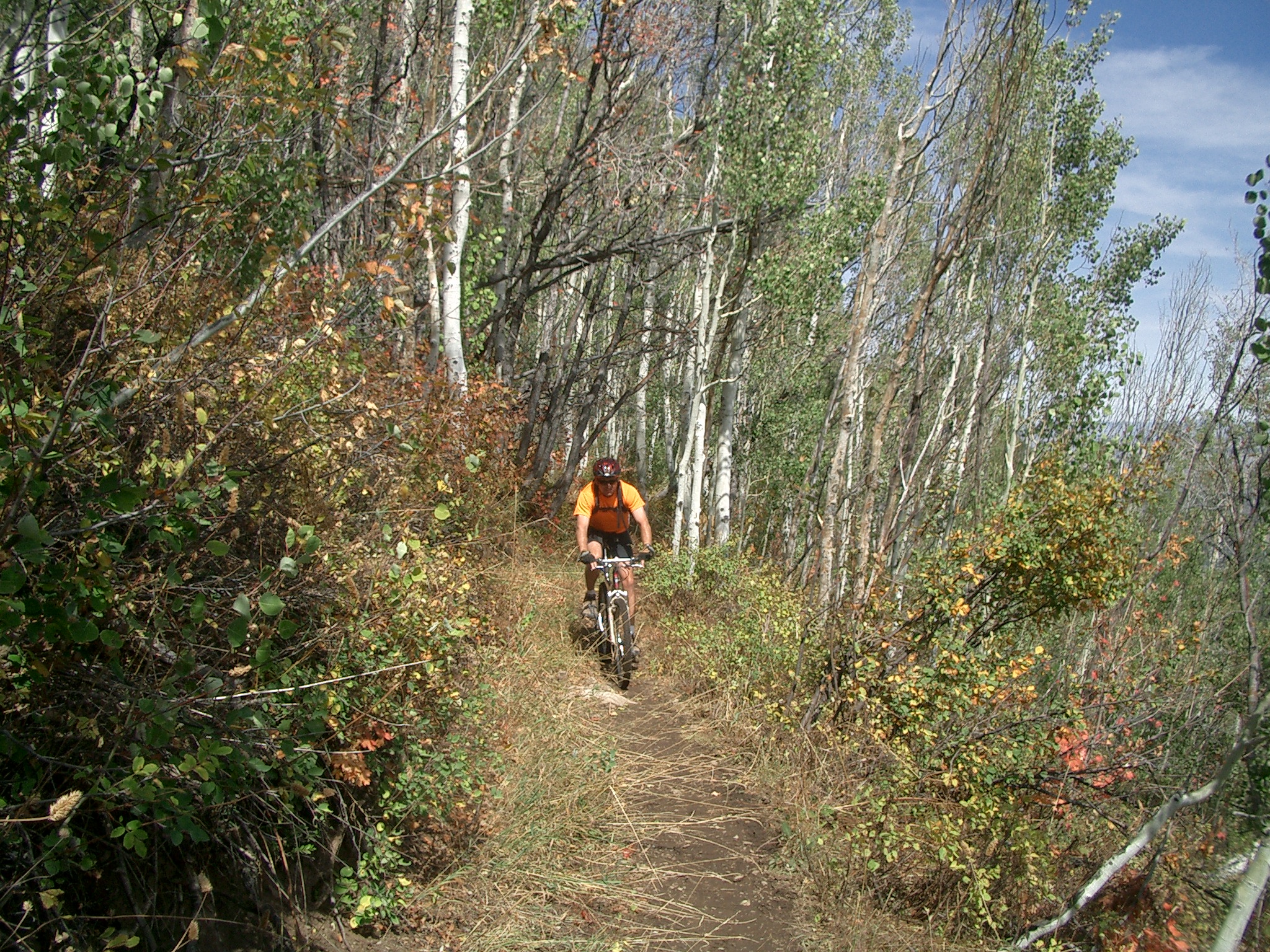 Photo credit: Rockport State Park