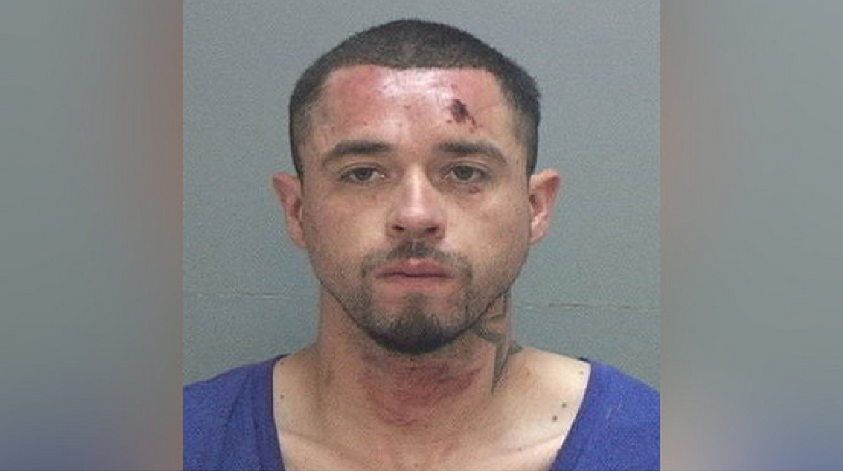 Perro policía detiene a ladrón de un auto en UT luego de persecución policial