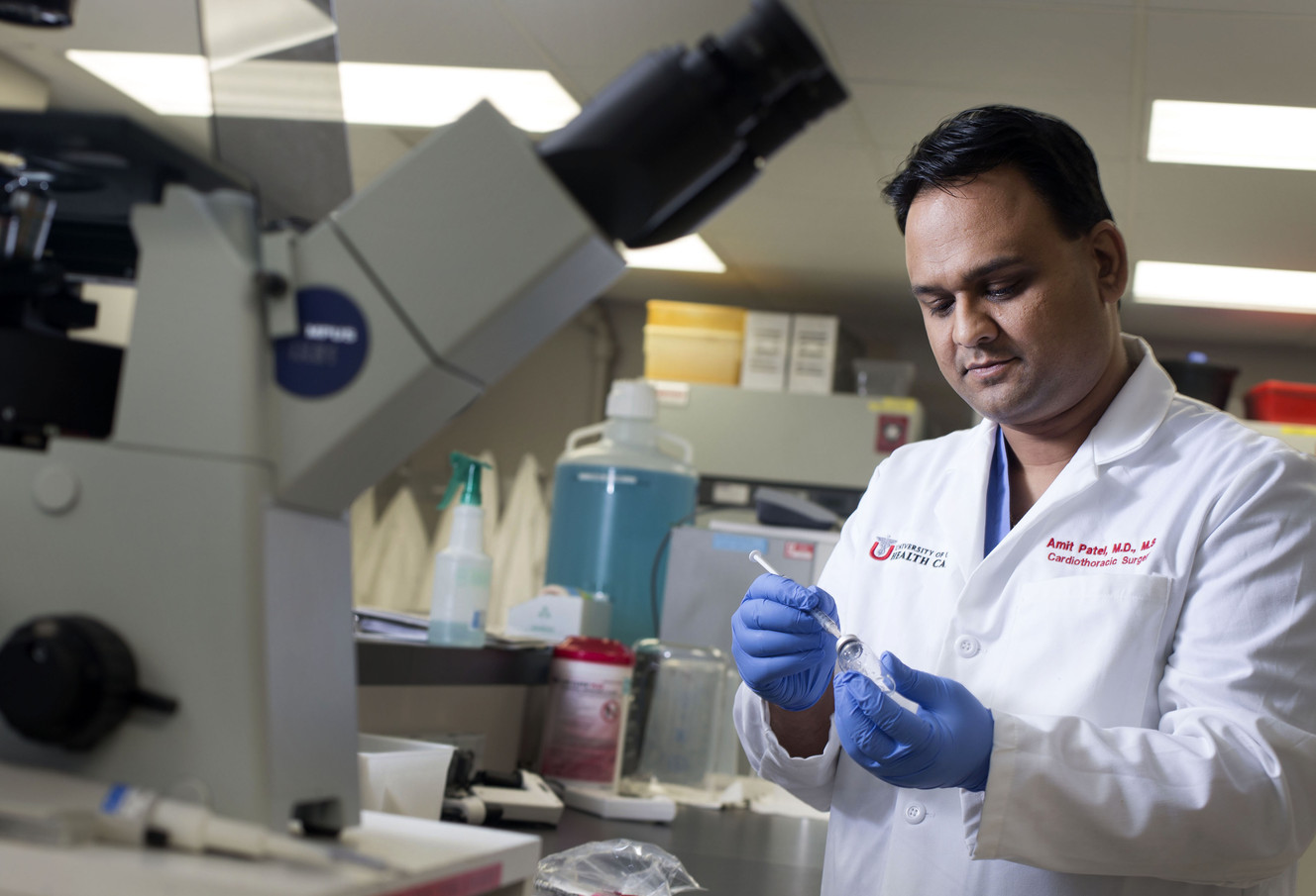 U. researcher looks to regenerate dead heart muscle