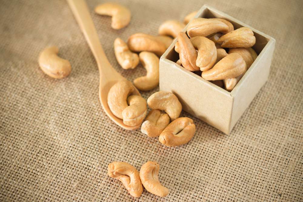 Fat in your diet: good or bad?