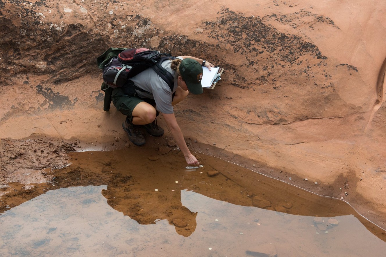 'Desert potholes are not wishing wells,' park officials say
