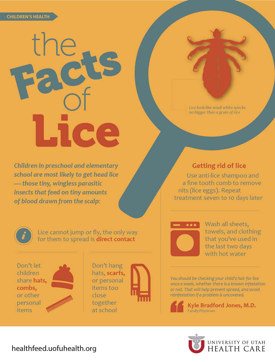 Worried about head lice?