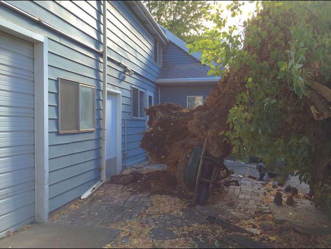Fuertes lluvias causan inundaciones y cortes de electricidad en diferentes parte de UT