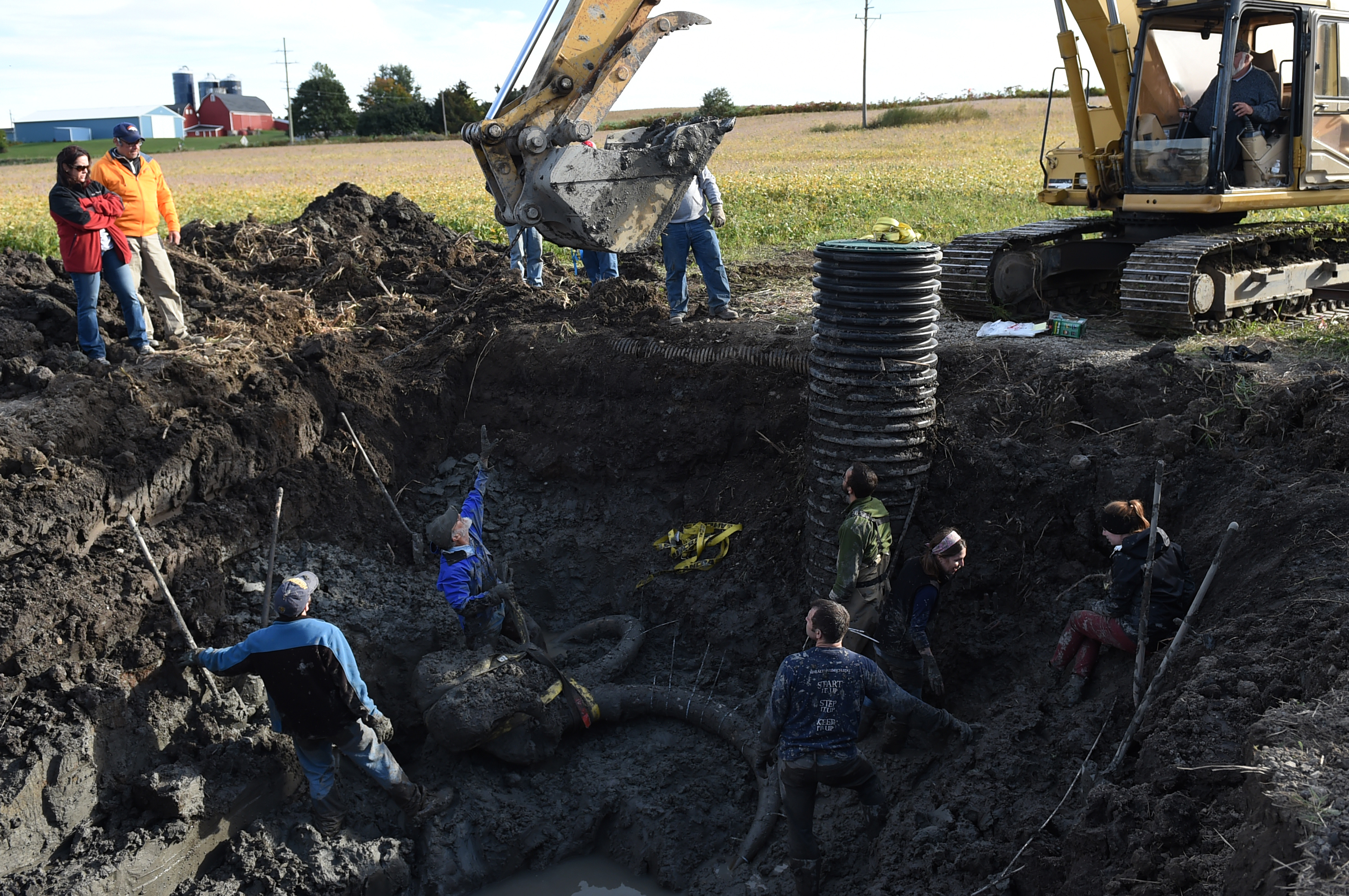 In this photo taken Thursday, Oct. 1, 2015, a chain is lowered by an excavator to University of Michigan professor Dan Fisher, center, as he and a team of Michigan students and volunteers prepare to lift the skull and tusks of a woolly mammoth found on a farm near Chelsea, Mich. (AP Photo/The Ann Arbor News, Melanie Maxwell)