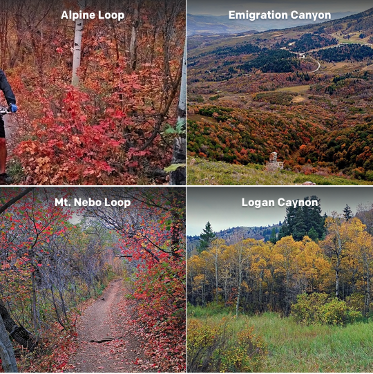 Los mejores lugares de UT para disfrutar de los paisajes otoñales y tomar fotografías en familia