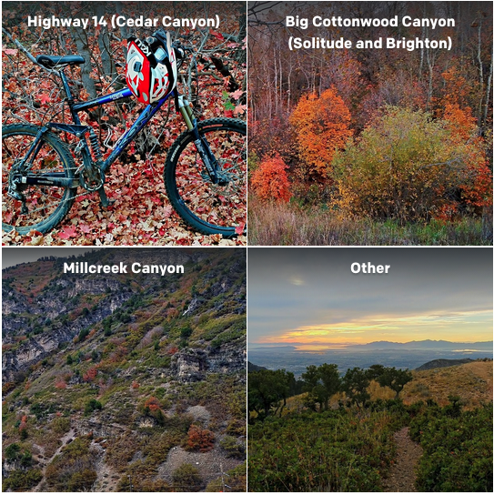 Los mejores lugares de UT para disfrutar de los paisajes otoñales y tomar fotografías en familia