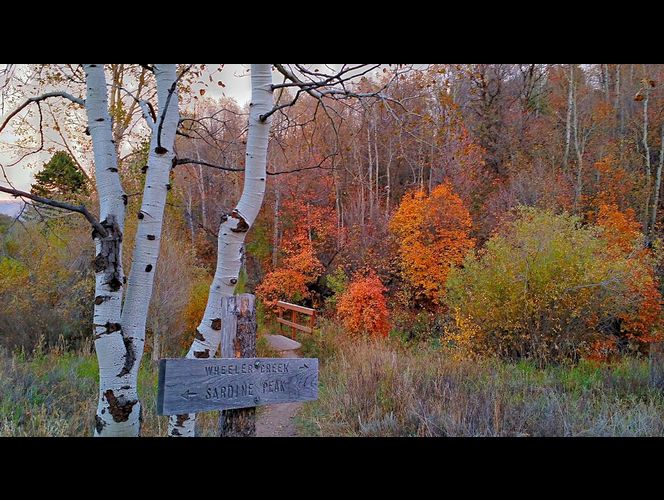 Los mejores lugares de UT para disfrutar de los paisajes otoñales y tomar fotografías en familia