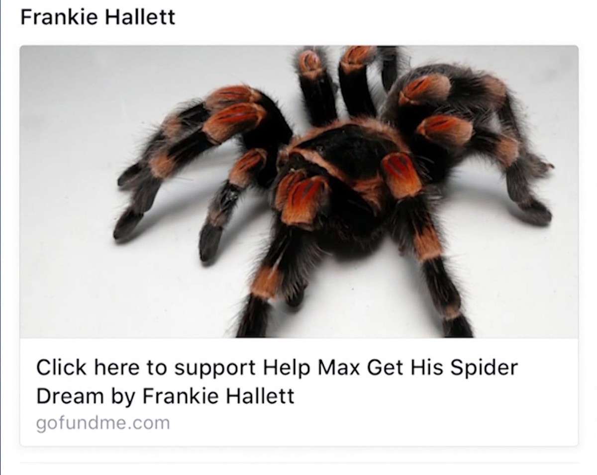 (Photo: Brian Roche via GoFundMe.com)