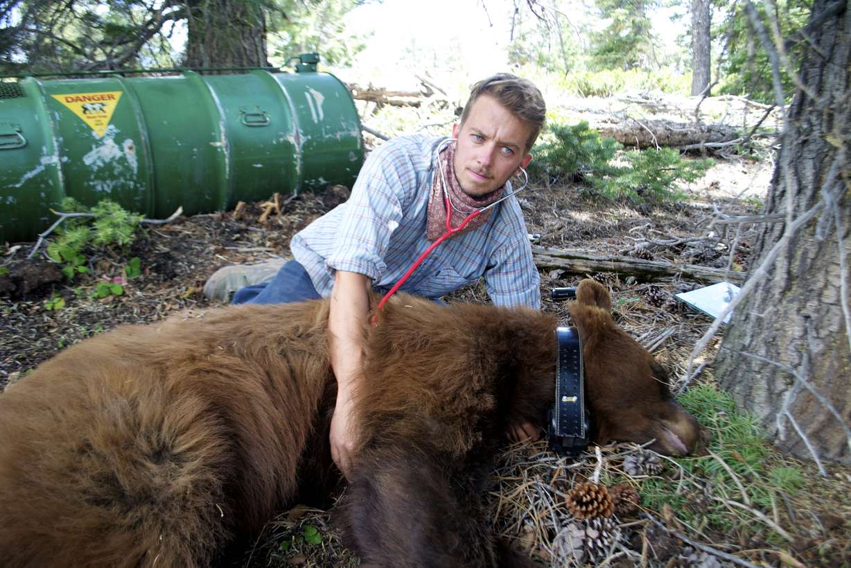 Photo credit: Wes Larson