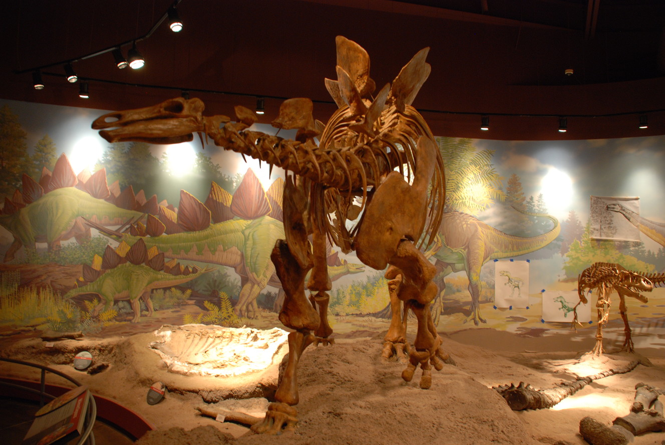 Help dig for dinosaurs with Utah Field House of Natural History