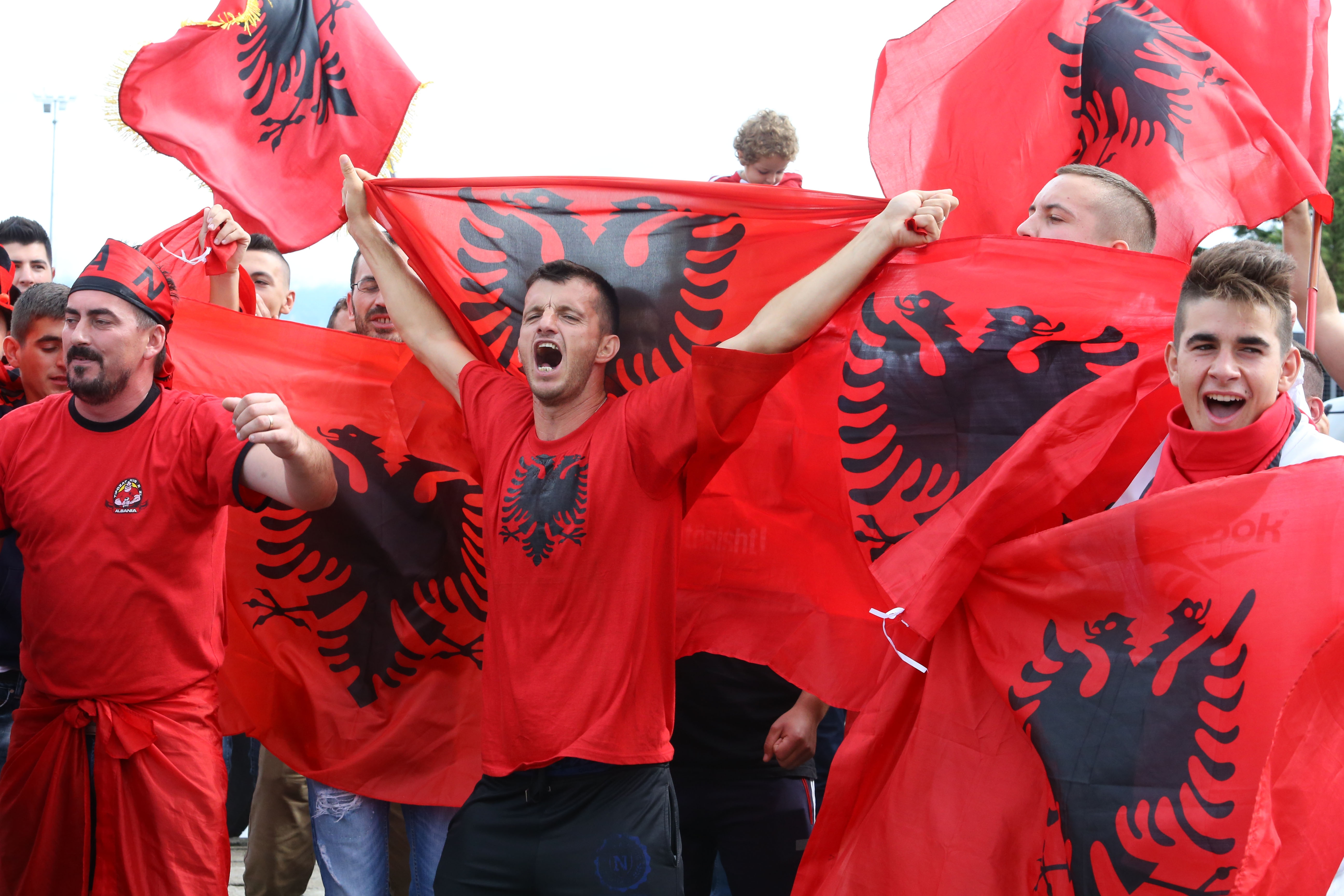 Euro 2016: Albania players get heroes' welcome
