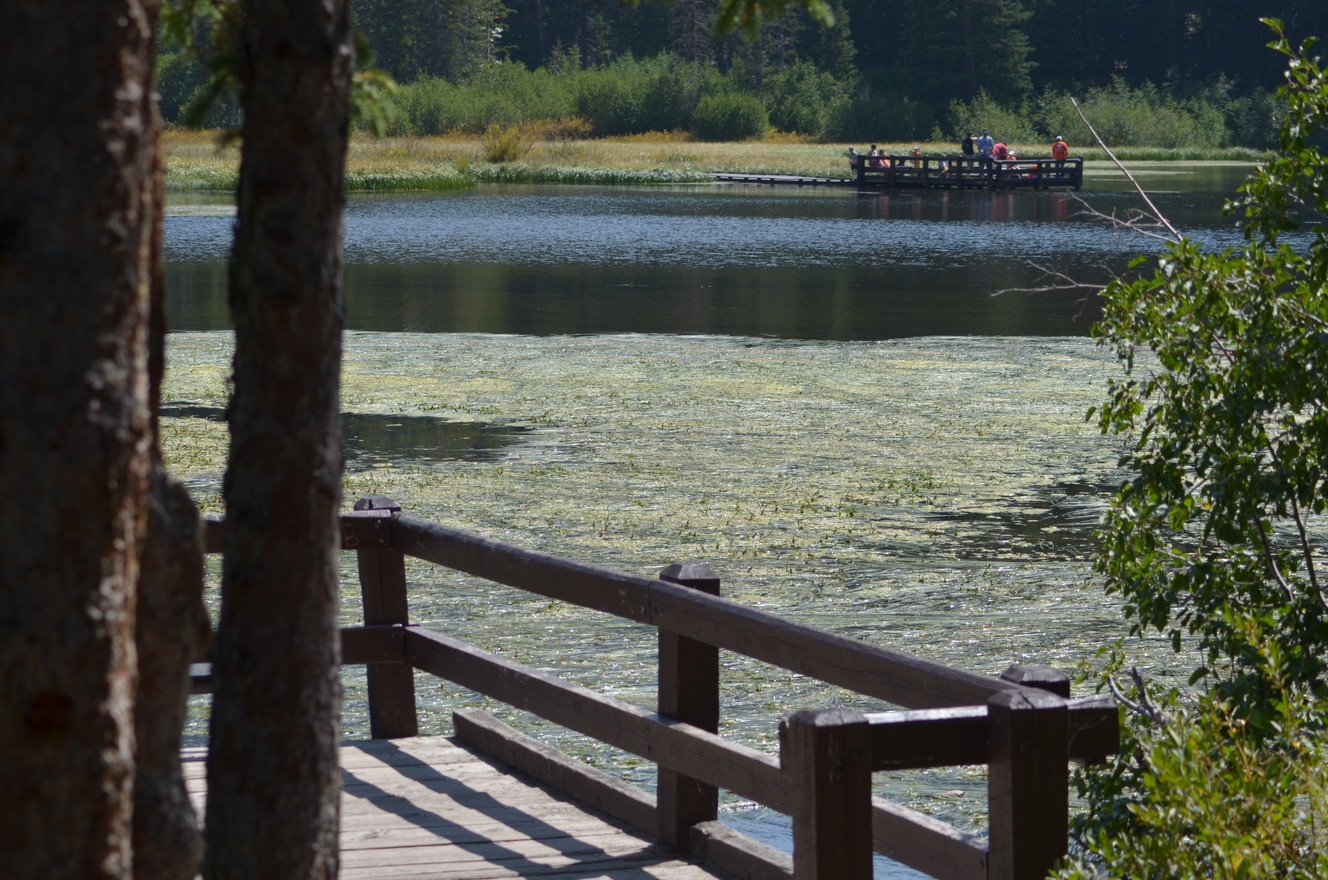 Great local fishing spots for those with limited mobility