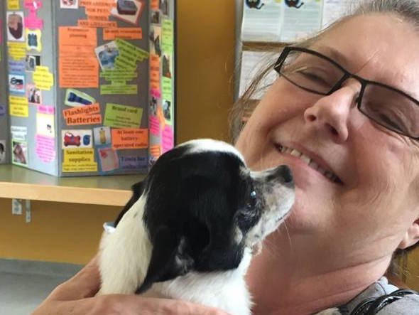 Microchip helps reunite dog with owner after going missing for 1 year