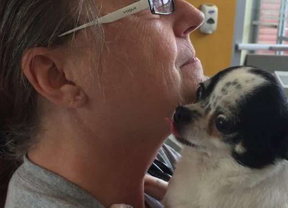 (Photo: West Valley City Animal Services)