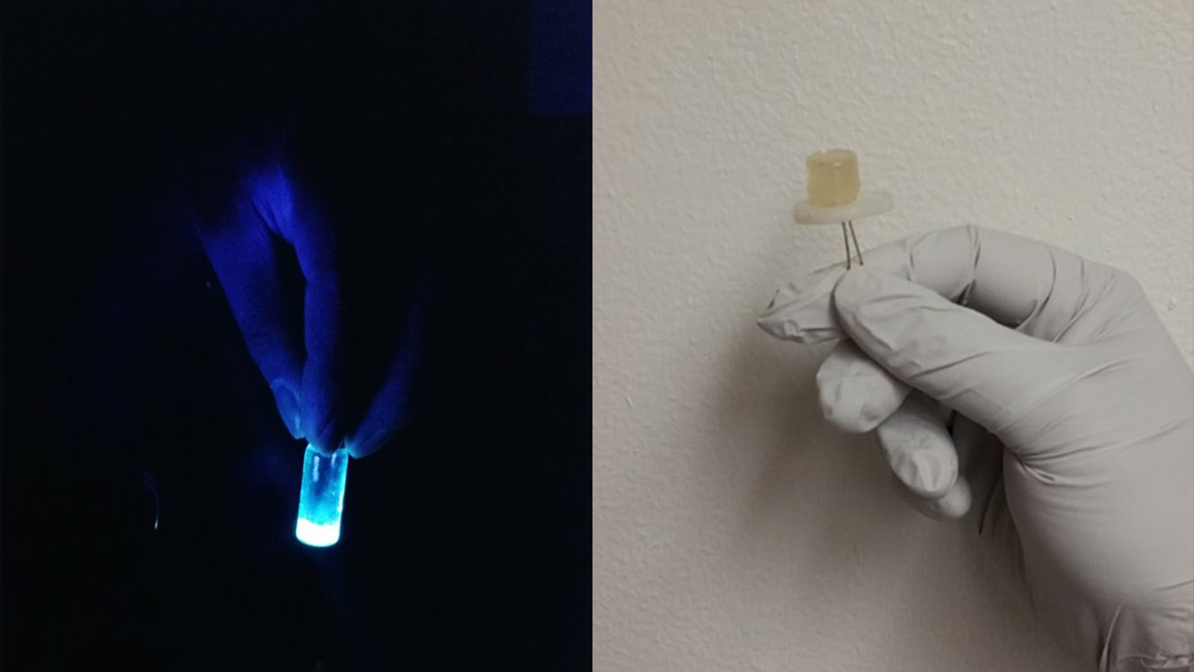 U. team makes LED lights out of tortillas, soda