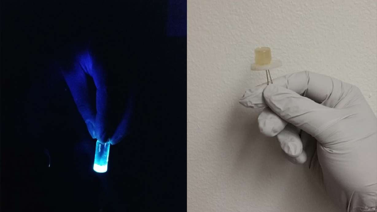 U. team makes LED lights out of tortillas, soda