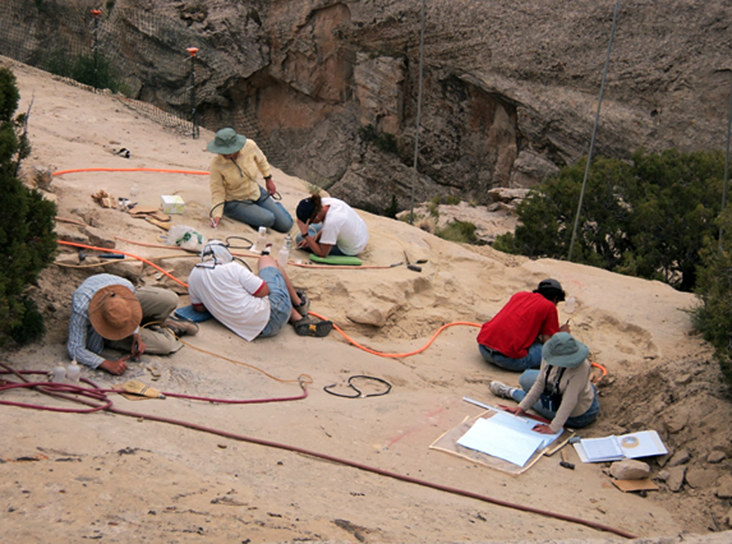 Treasure trove of late Triassic fossils discovered in Utah