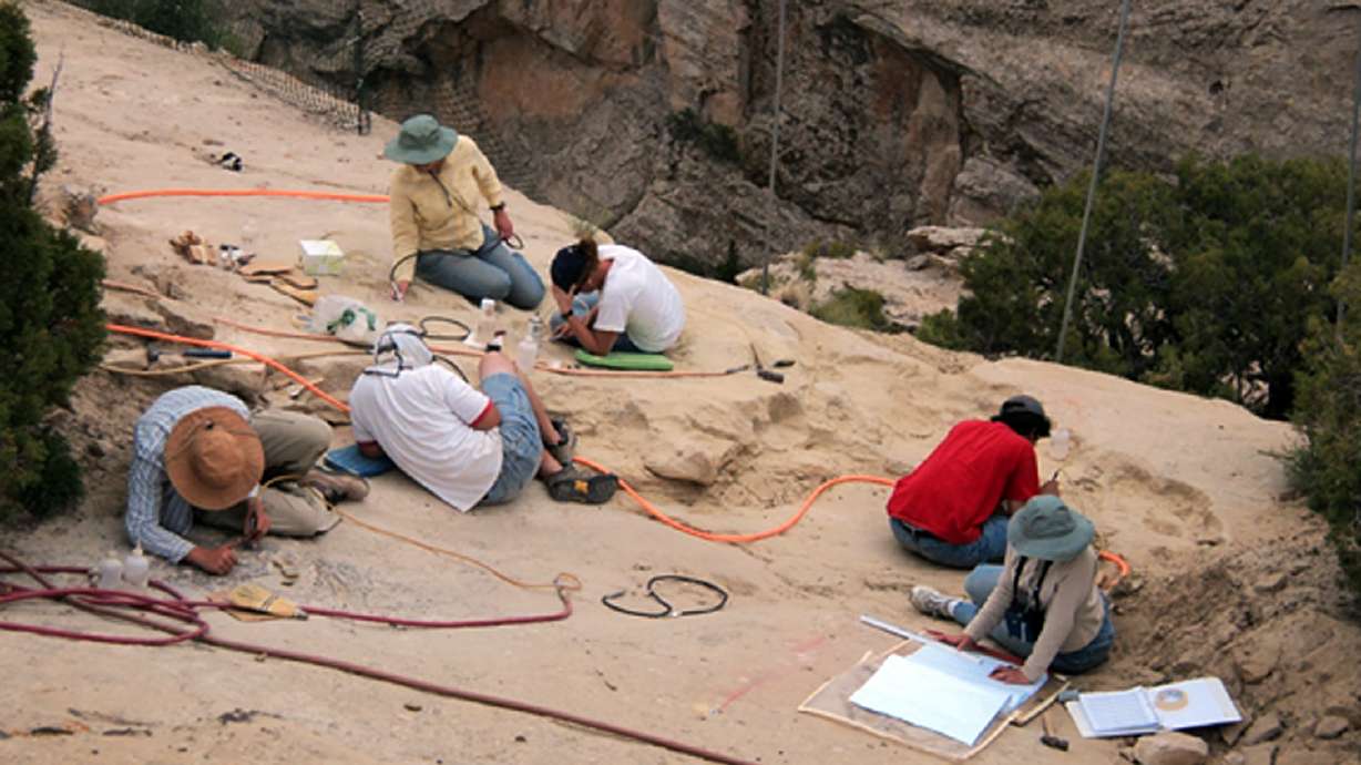 Treasure trove of late Triassic fossils discovered in Utah