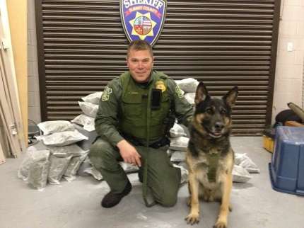 U.S. Forest Service officer Darren Schiedel and his K-9 partner, Livo. (Photo: Courtesy U.S. Forest Service)