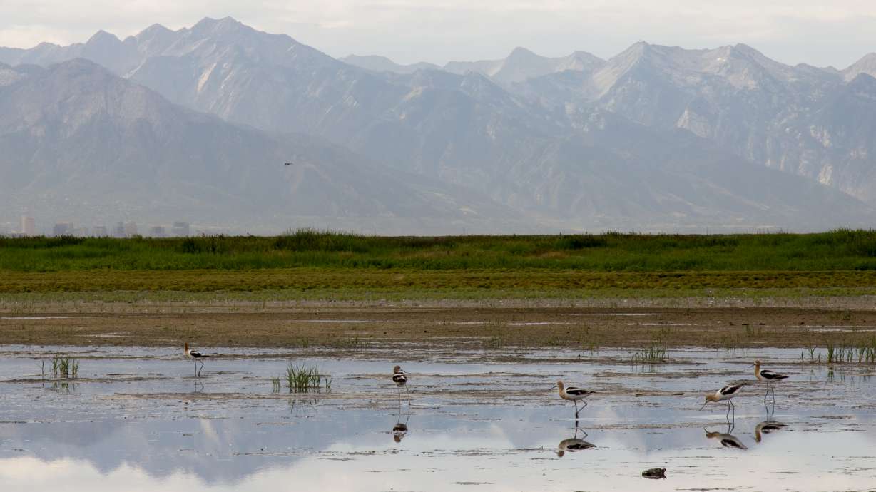 Researchers: Don't blame the Great Salt Lake for bad smell