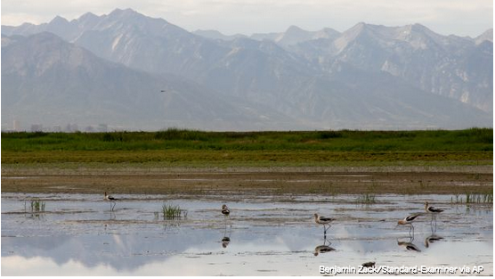 Investigadores determinan que el mal olor cerca del Lago Salado no proviene del lago