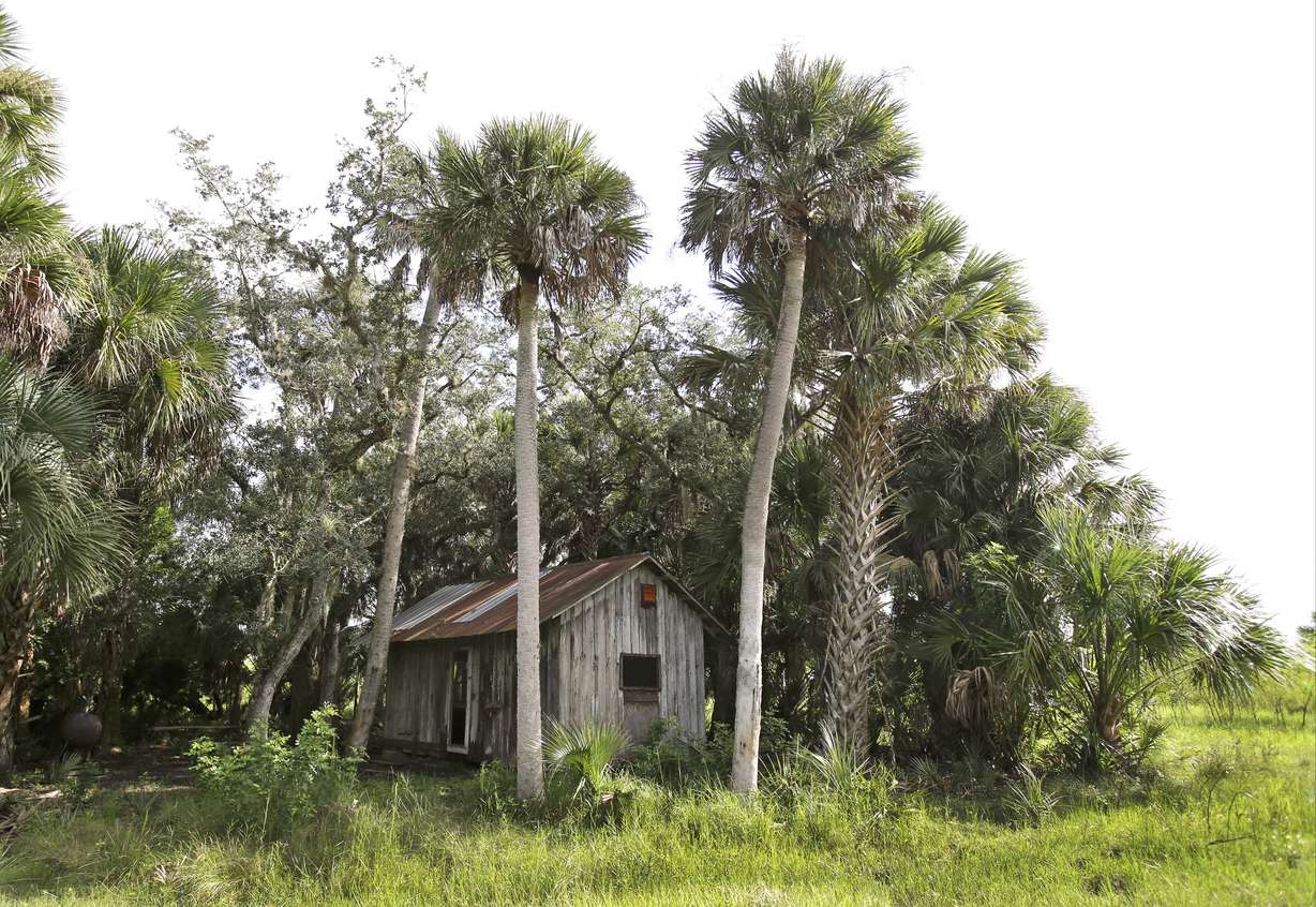 In this Wednesday, Sept. 30, 2015, photo, a small shack used by cowboys to camp overnight is seen on a section of land in Deseret Ranch, Fla. Photo: John Raoux/AP Photo