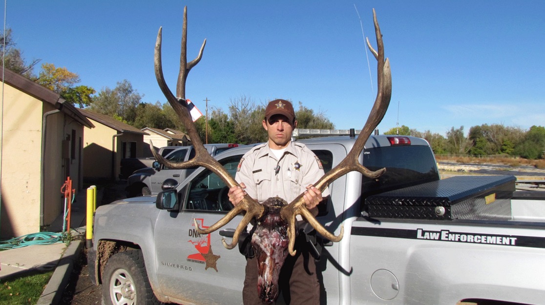 6x6 trophy elk poached in Utah County