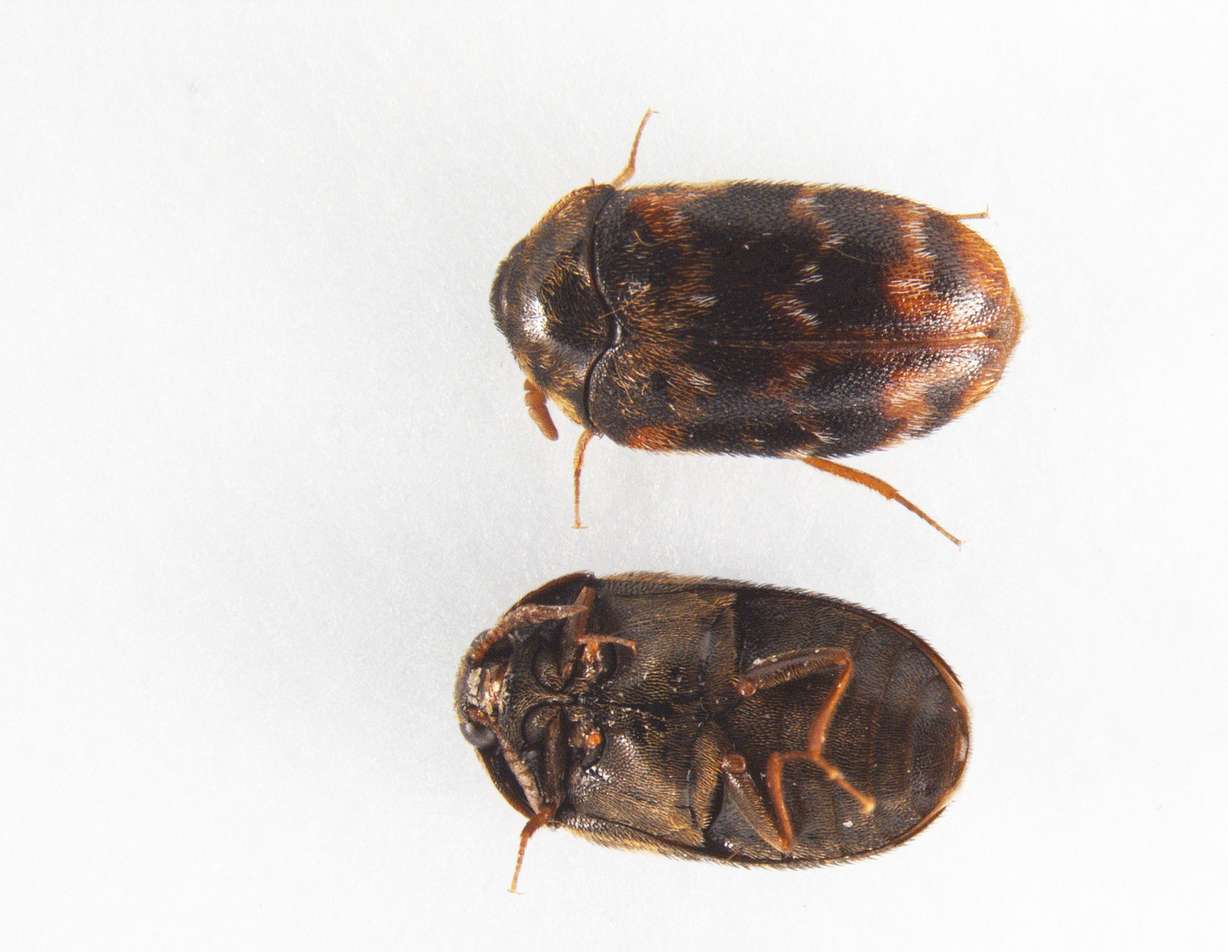 Photo: Jared Kunz/Utah State University