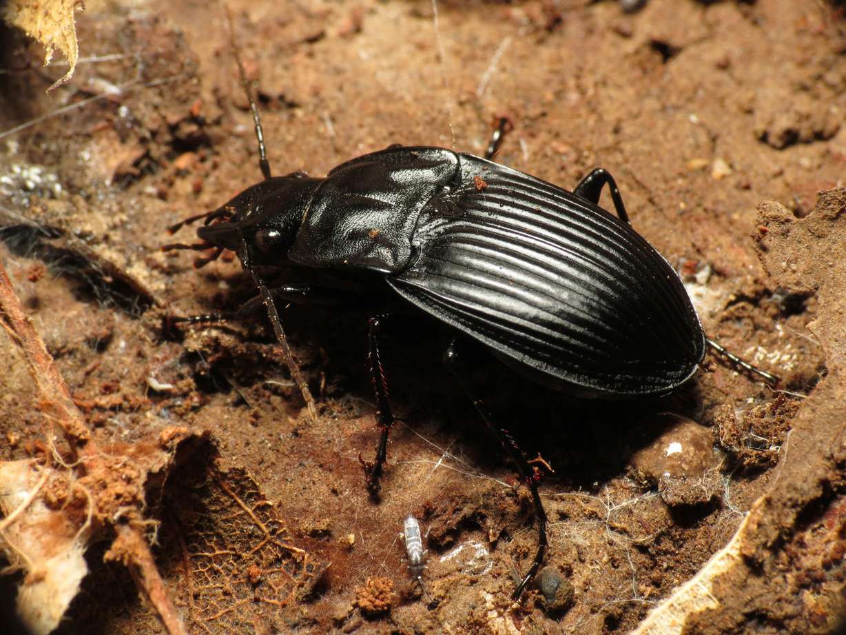 Photo: Katja Schulz/Wikimedia Commons