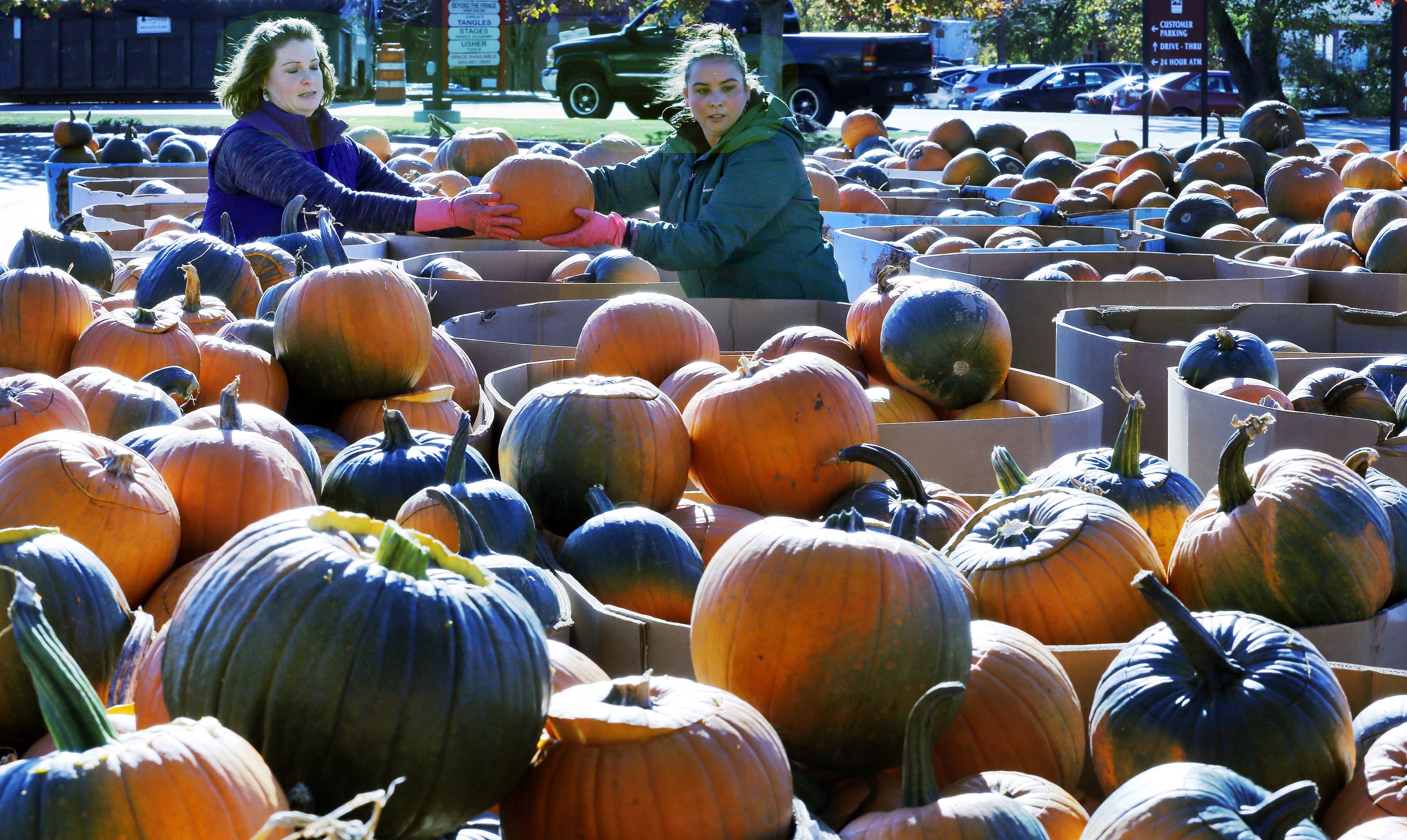 After unrest, pumpkin fest aims for jack-o-lantern mark