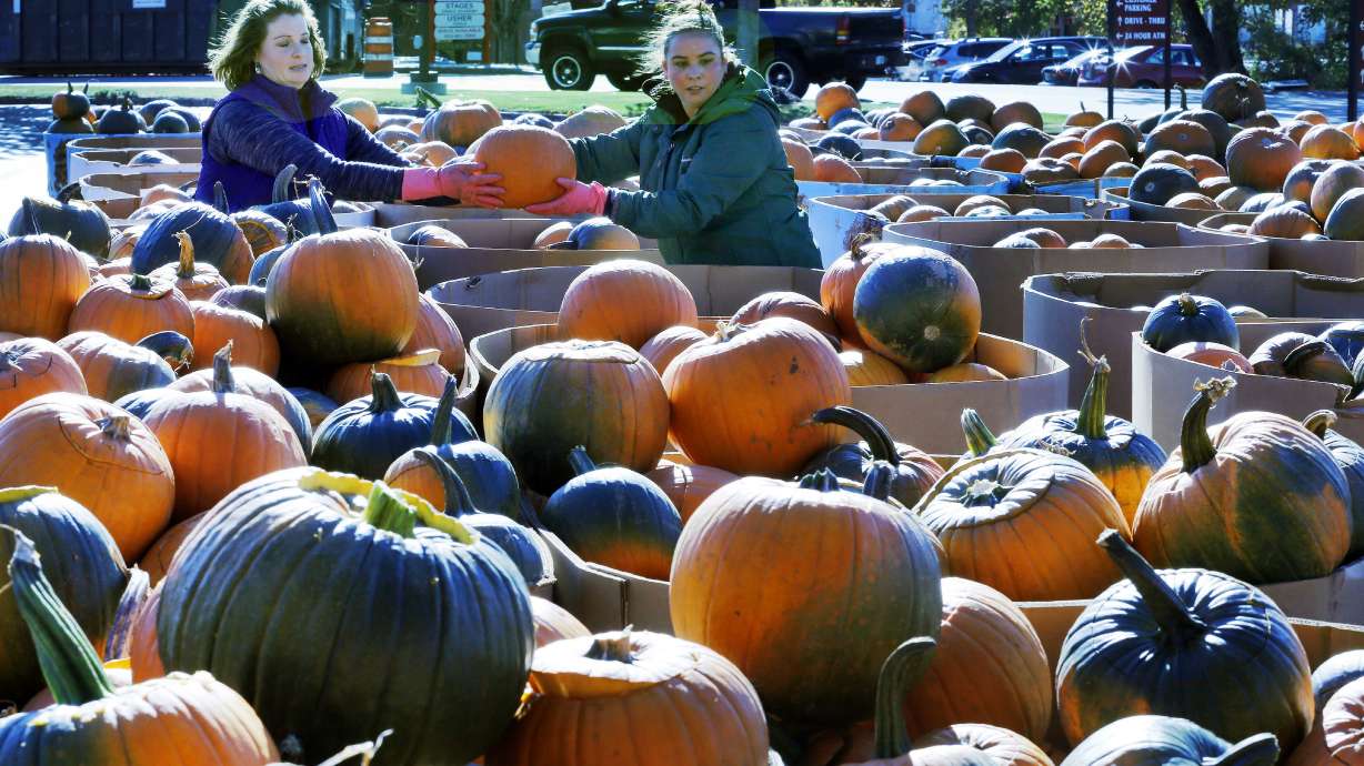 Pumpkin festival falls far short of jack-o-lantern record