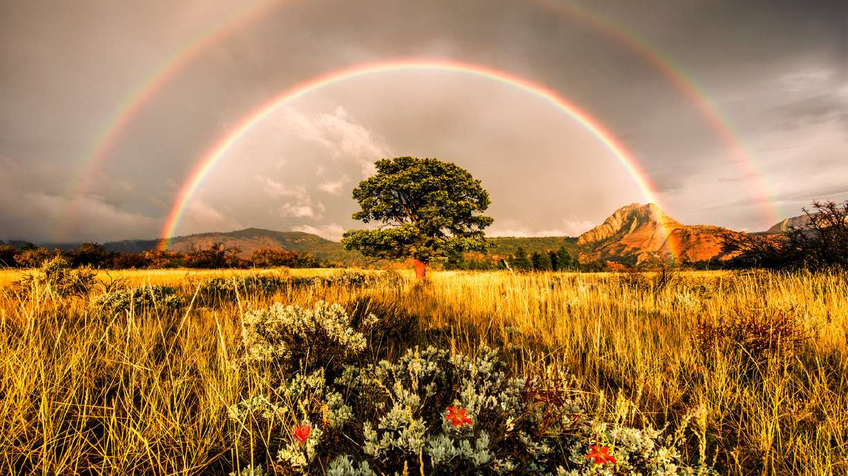 Utahns show Halloween spirit, love landscapes in this week's user-submitted photos