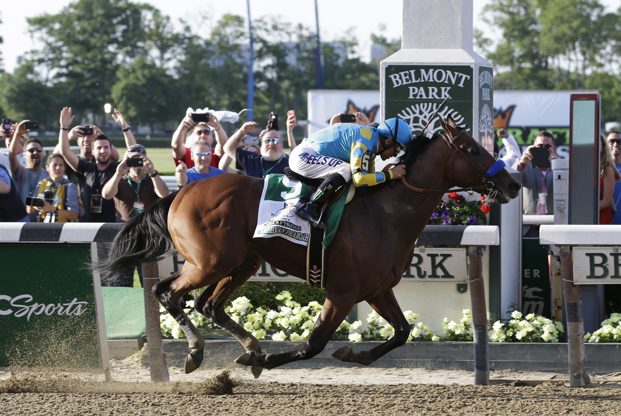 American Pharoah arrives at soggy Keeneland for last race