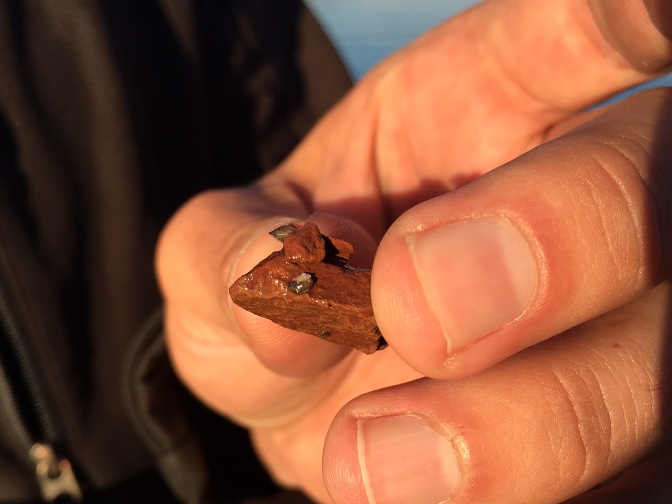 Lake Powell water supply diversion complicated by invasive mussels