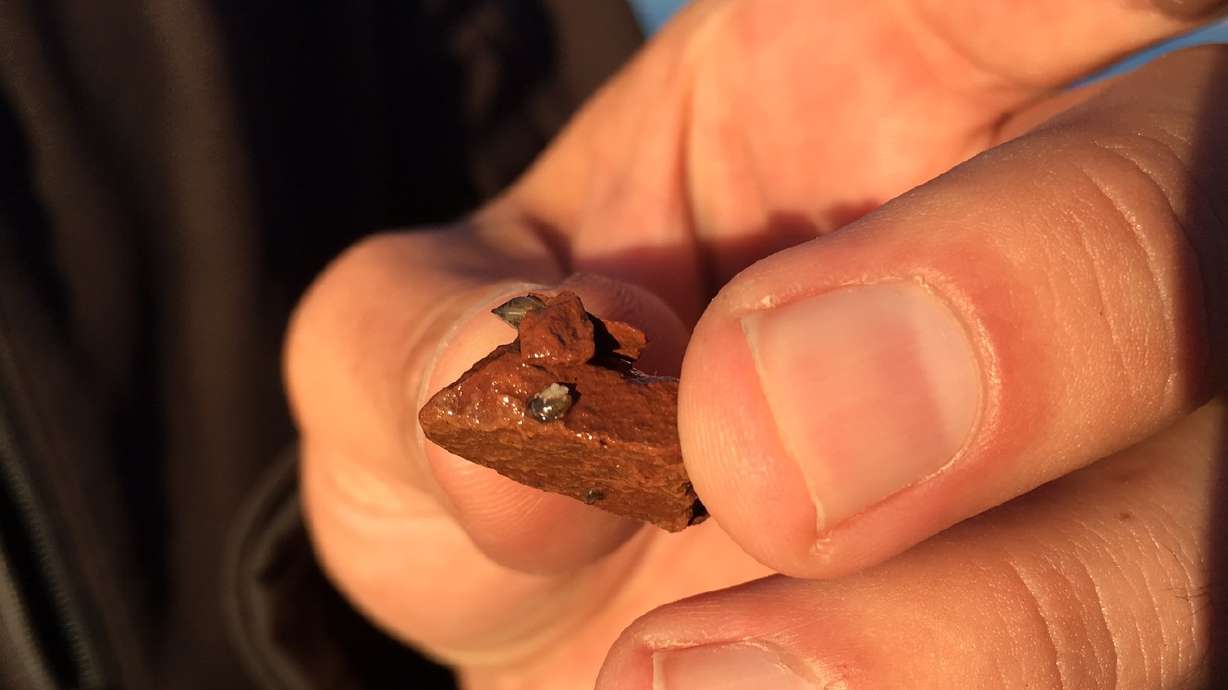 Lake Powell water supply diversion complicated by invasive mussels
