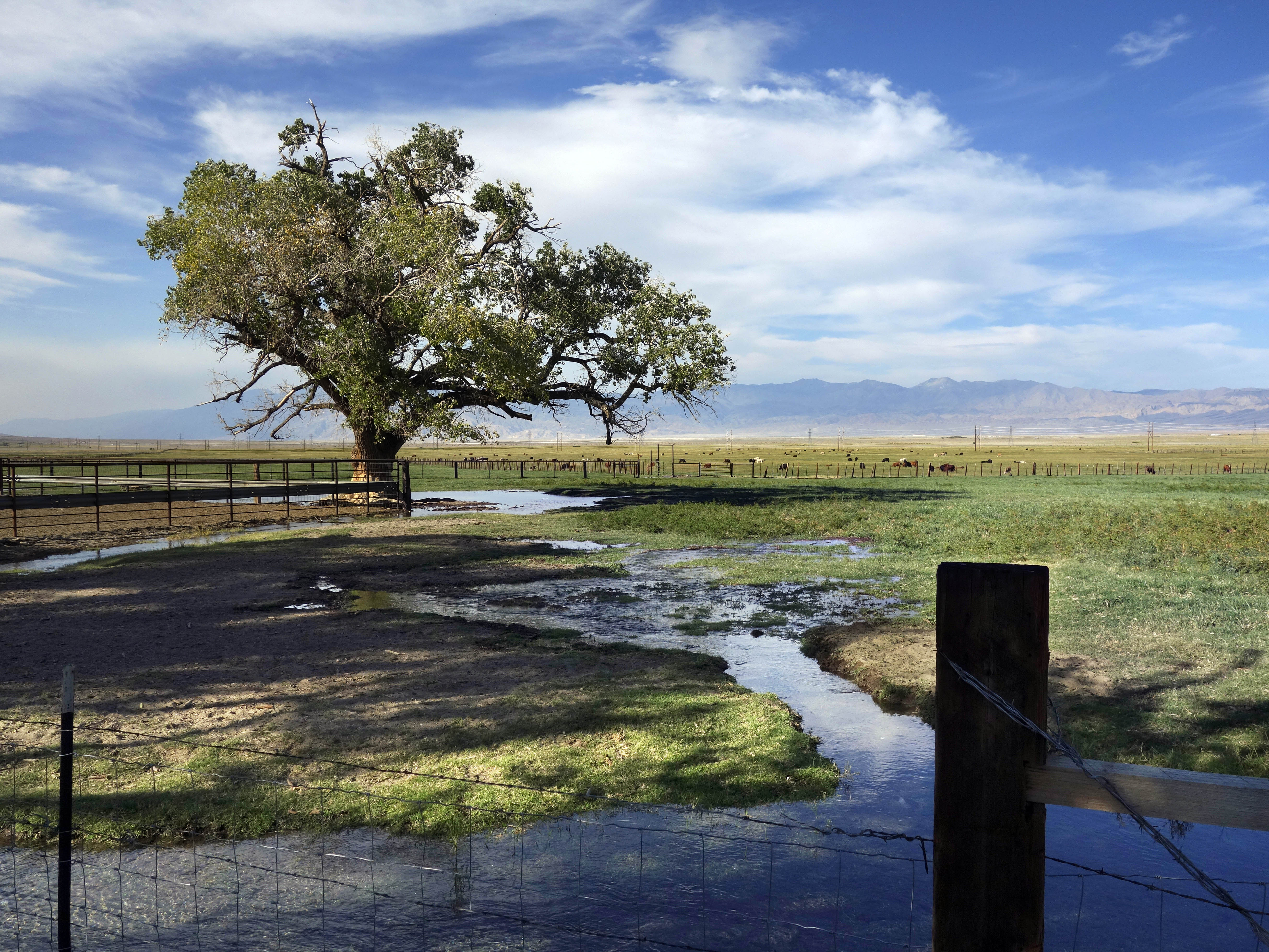 LA Aqueduct flows after dam built for drought is dismantled