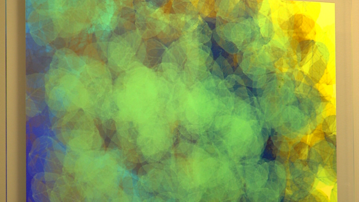 (Photo: Alan Neves/KSL-TV)