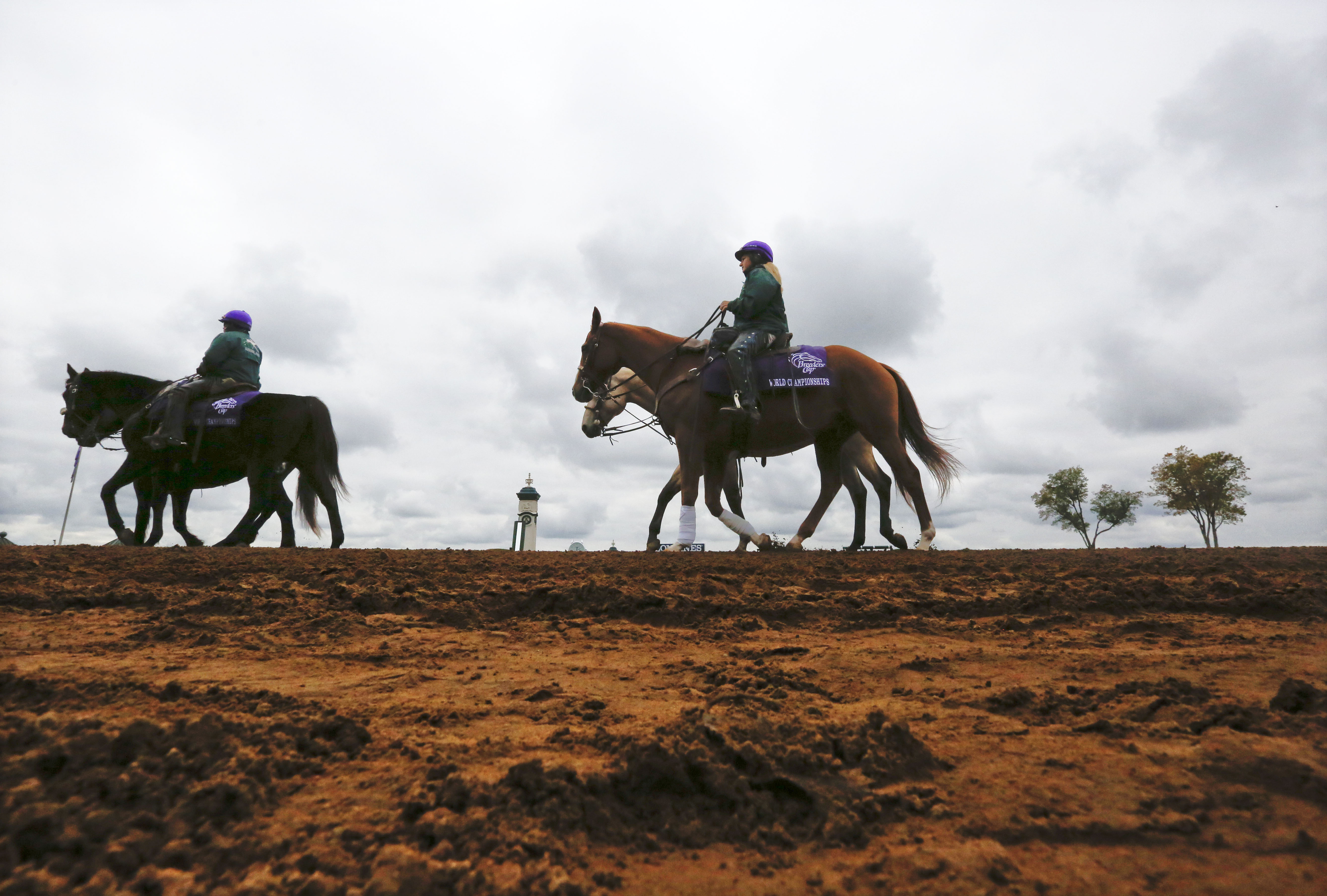 Favored Liam's Map wins Breeders' Cup Dirt Mile