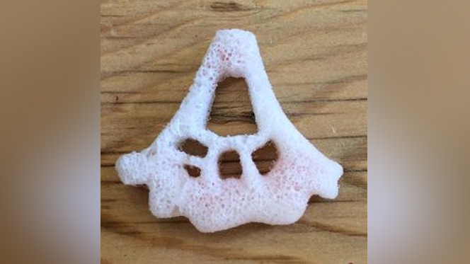 How to grow human bones in a lab