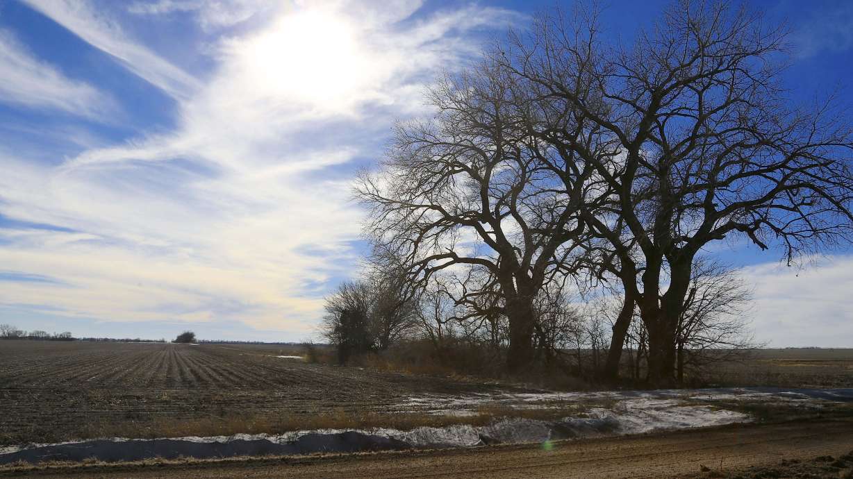 TransCanada denies politics behind Keystone delay request