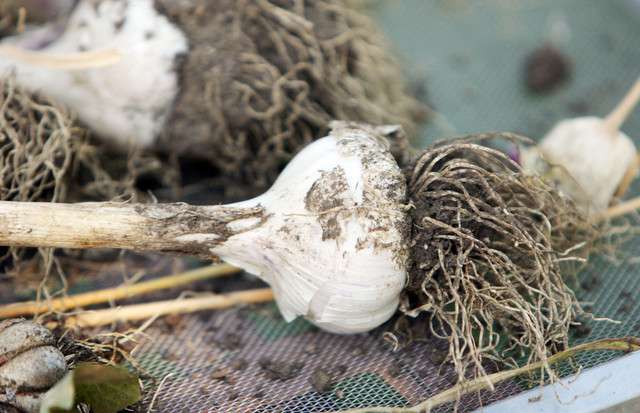 Scott G. Winterton/Deseret News File Photo