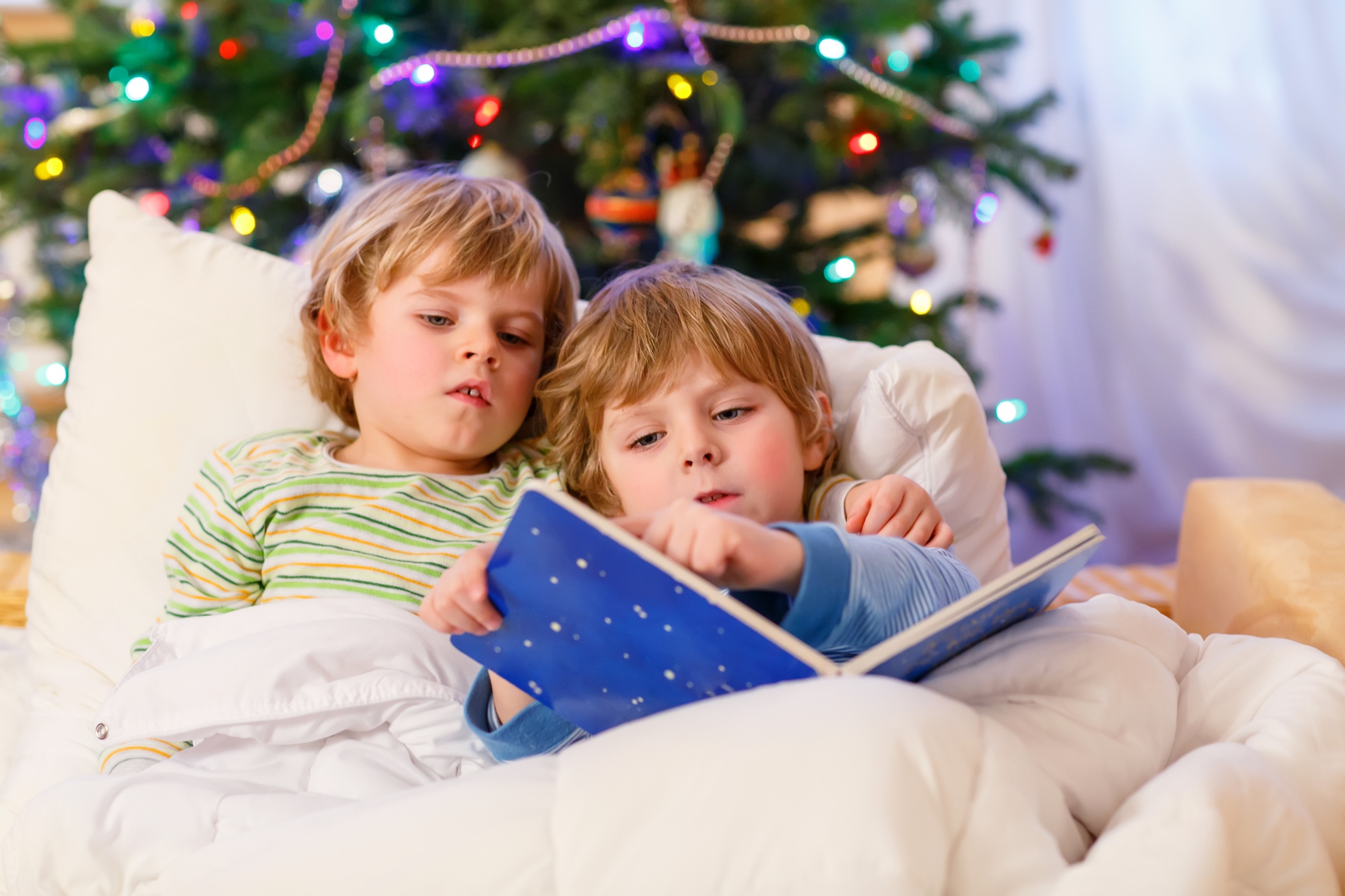 Holiday wish list: Books for curious kids